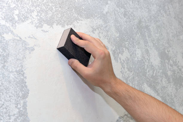 Best Forensic Mold Investigation  in Stansberry Lake, WA