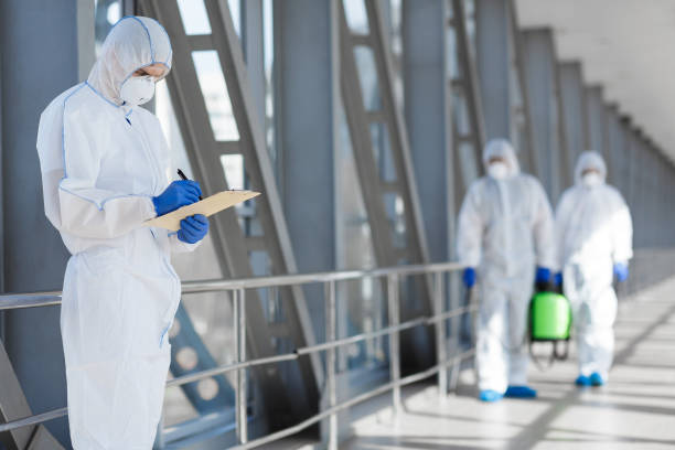 Mold Odor Removal Services in Stansberry Lake, WA