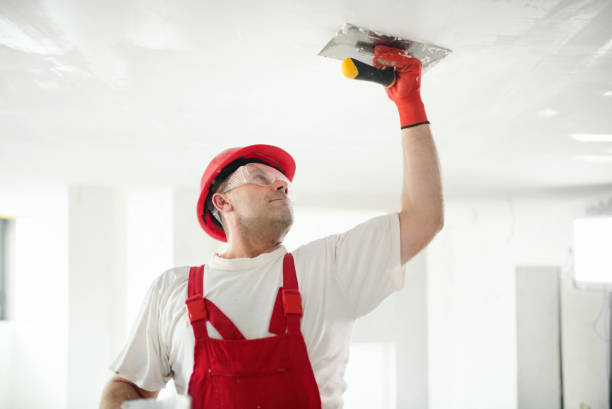 Best Real Estate Mold Inspection  in Stansberry Lake, WA